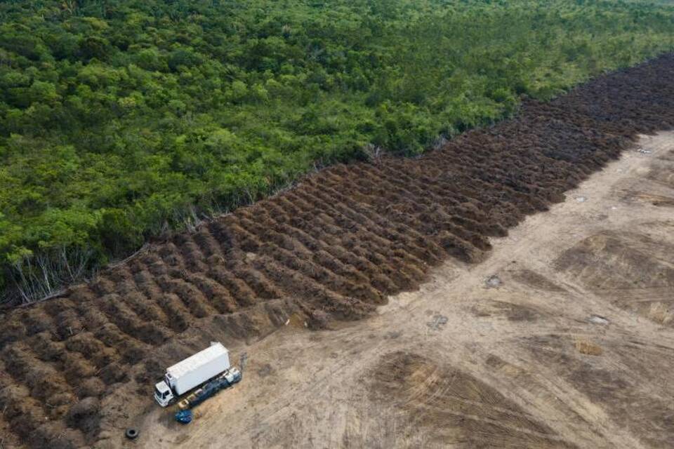 Amazonas Amazonas
