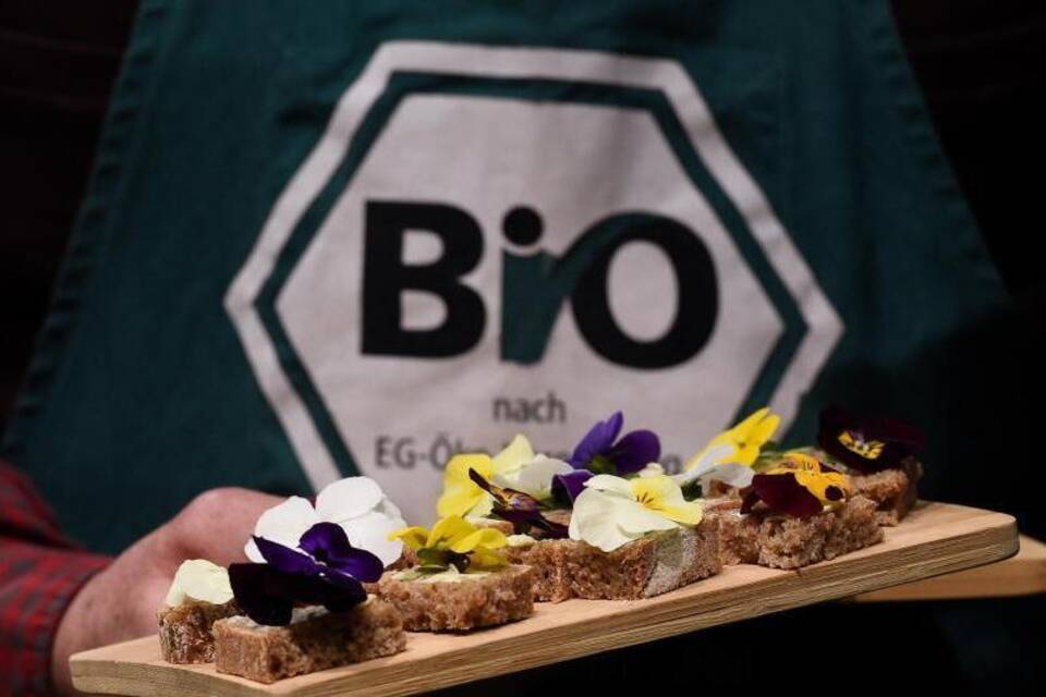 Bio Bio