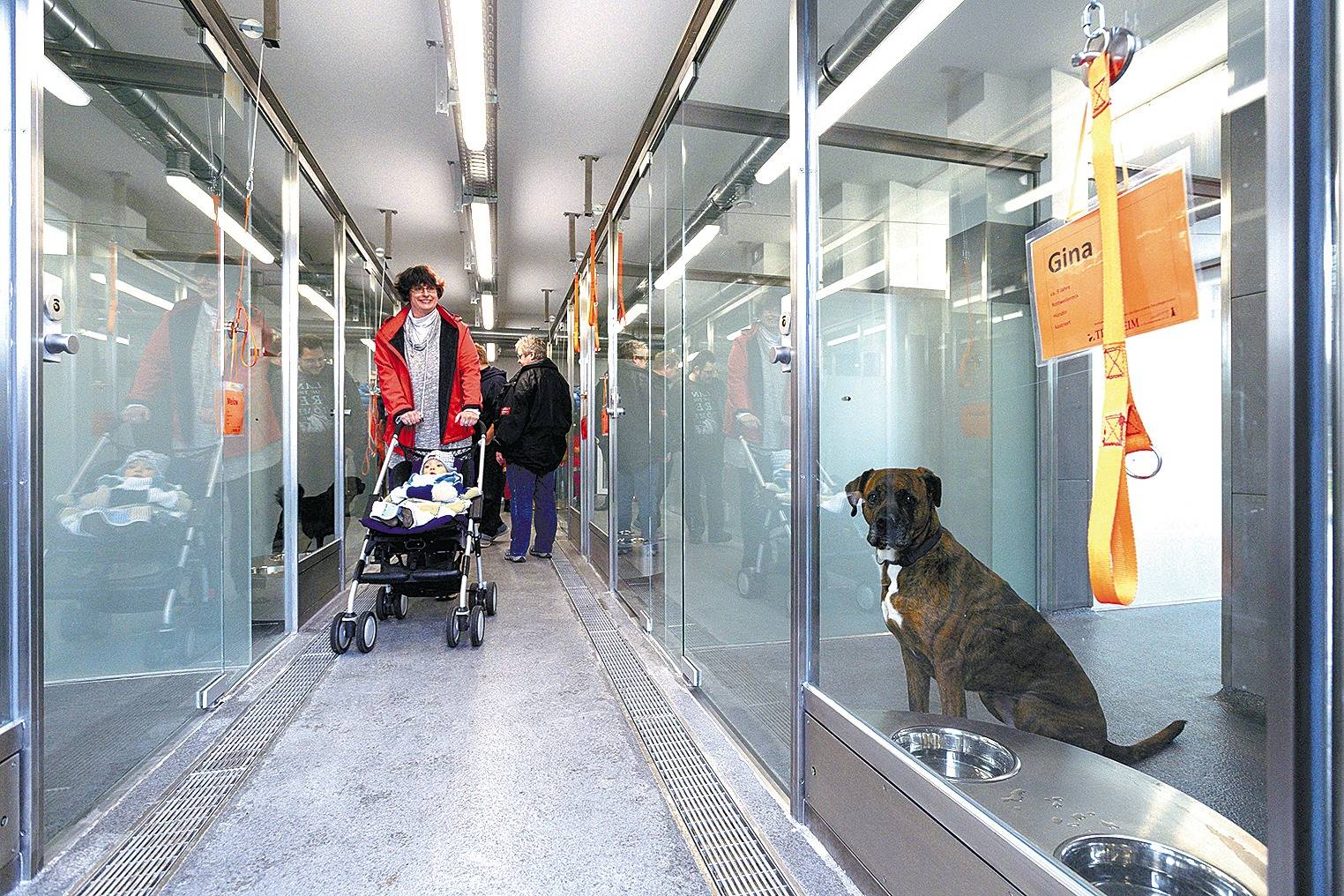 Tierheim Heidelberg So laut auch gebellt wird, man hört nichts