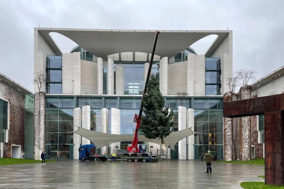 Weihnachtsbaum fürs Kanzleramt