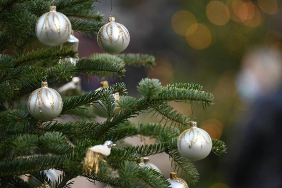Weihnachtsbaum Weihnachtsbaum