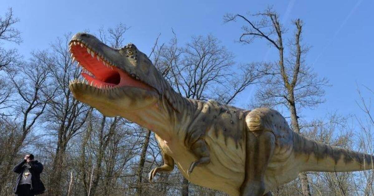 Tyrannosaurier Kämpfer und Kannibalen? RheinNeckarZeitung