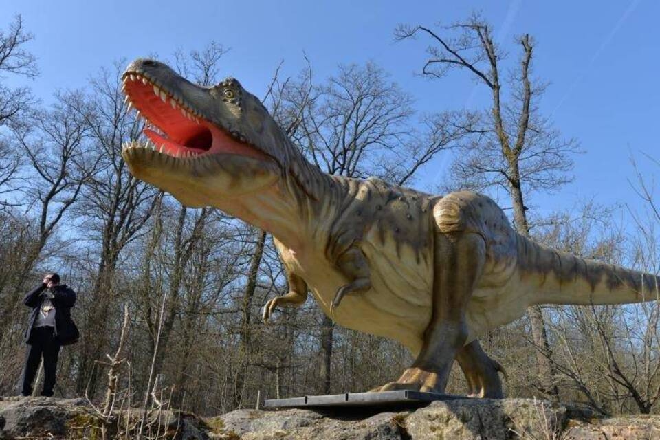 Tyrannosaurier