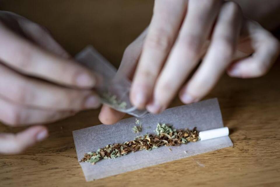 Cannabis Cannabis