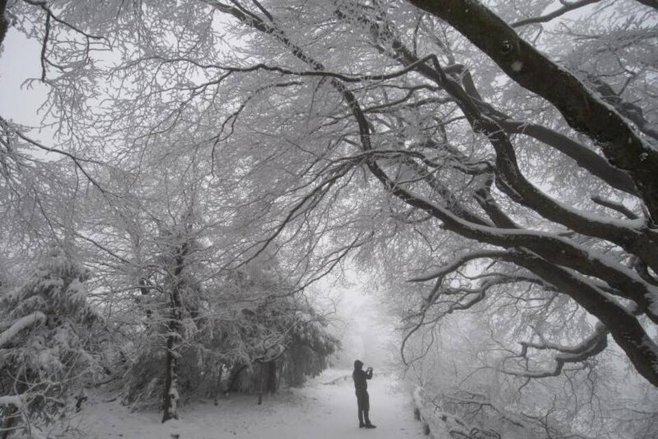 Schnee im Taunus