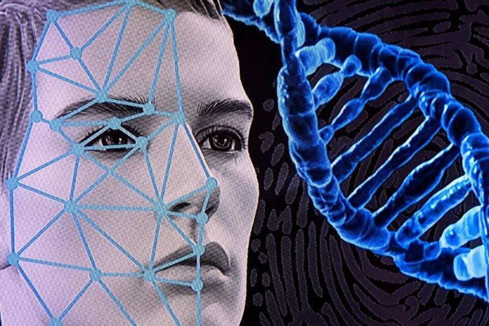Gesichtserkennungs-Software Gesichtserkennungs-Software