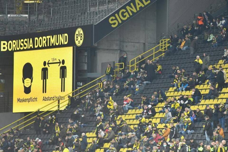 BVB BVB