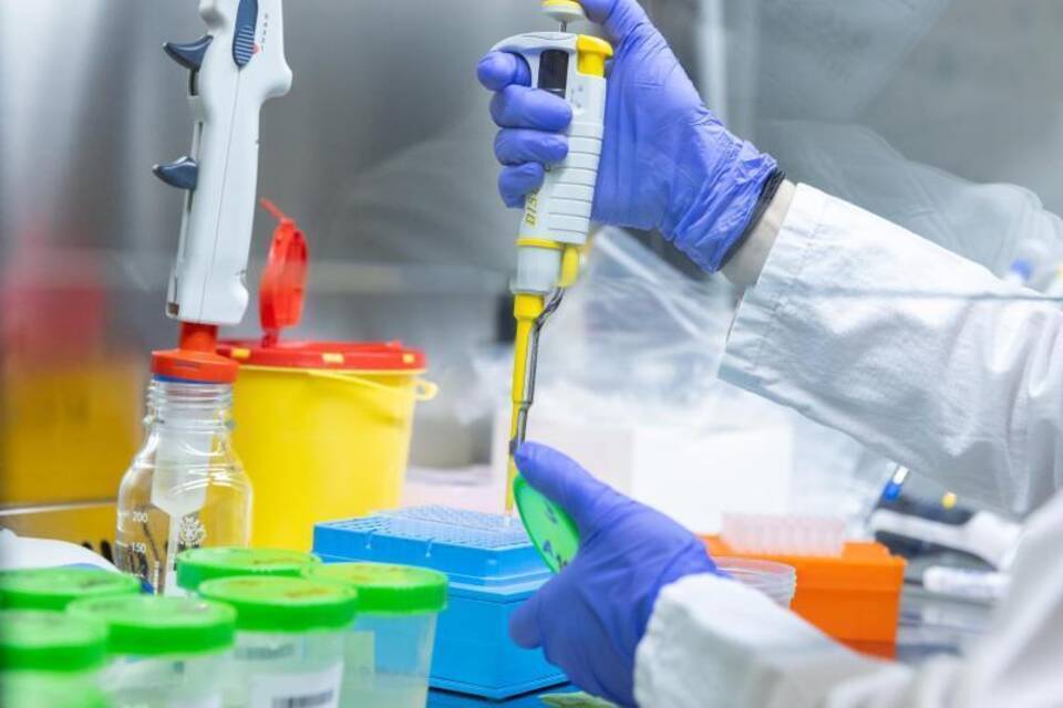 Coronavirus Coronavirus