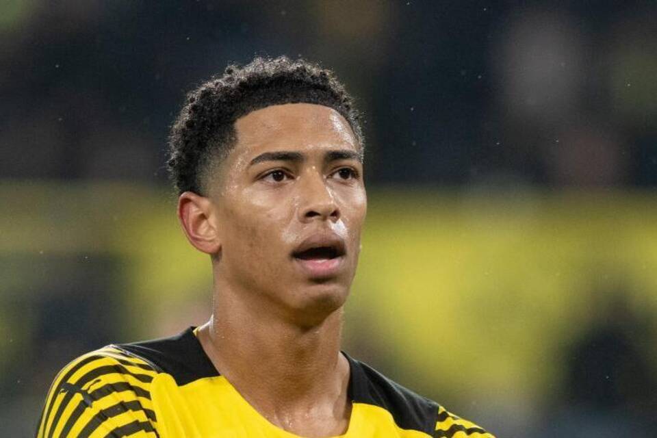 BVB-Profi BVB-Profi