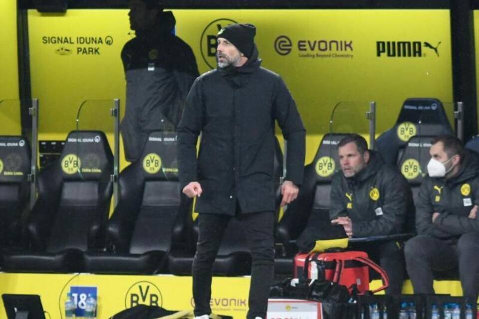 BVB-Coach BVB-Coach
