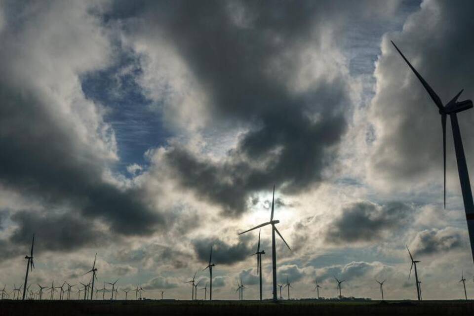 Windfeld im Norden Windfeld im Norden