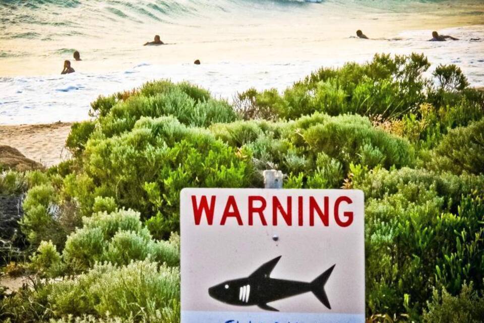 Warnung vor Haien an einem Strand in Australien