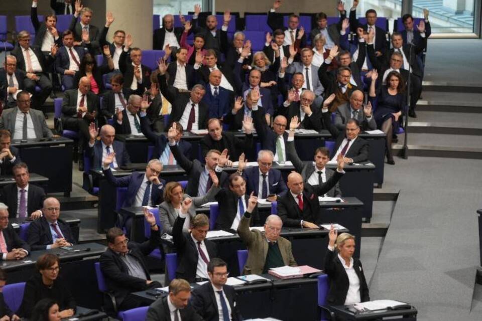 AfD-Fraktion im Bundestag