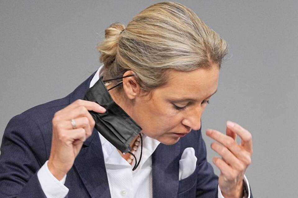 Alice Weidel Alice Weidel