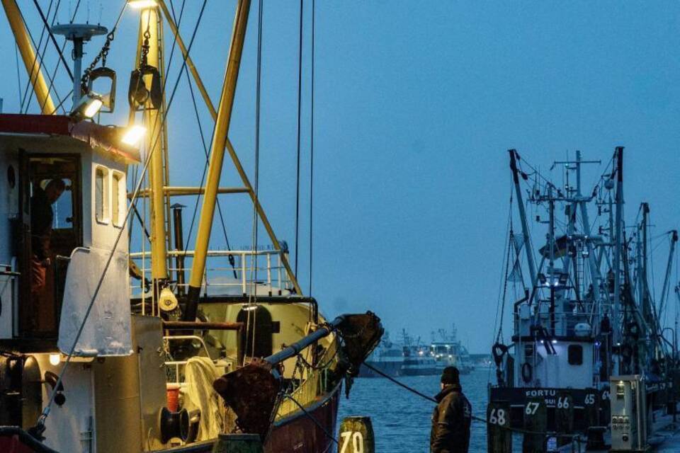 Fischerboote in Büsum