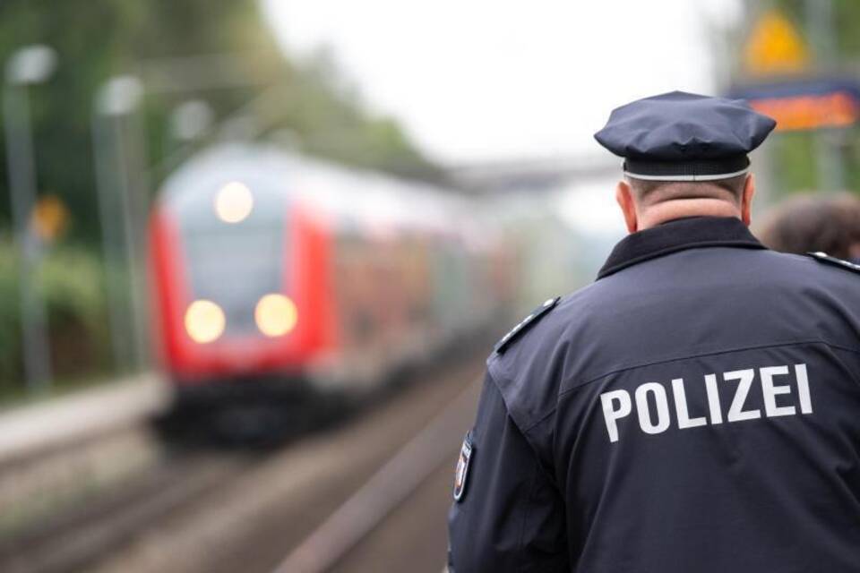 Hund fährt alleine Zug Hund fährt alleine Zug
