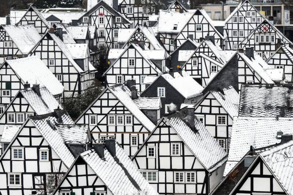 Freudenberg Freudenberg