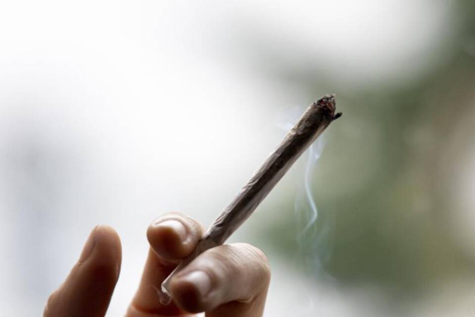 Cannabiskonsum Cannabiskonsum