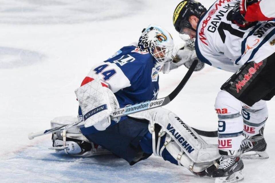 Adler-Torwart Adler-Torwart