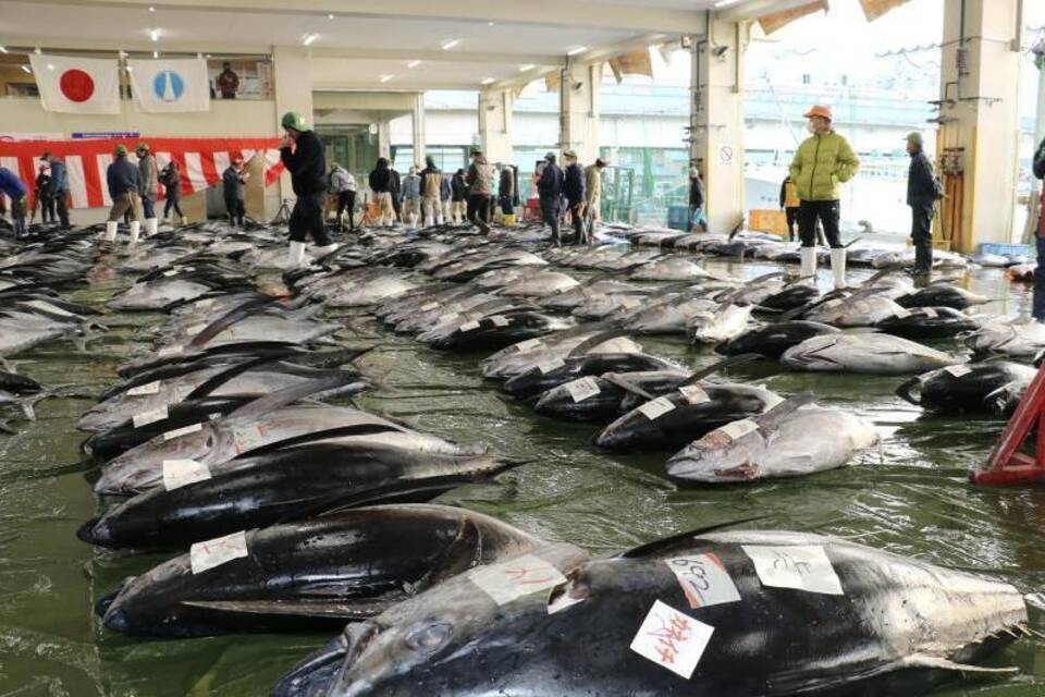 Markt in Nachikatsuura Markt in Nachikatsuura