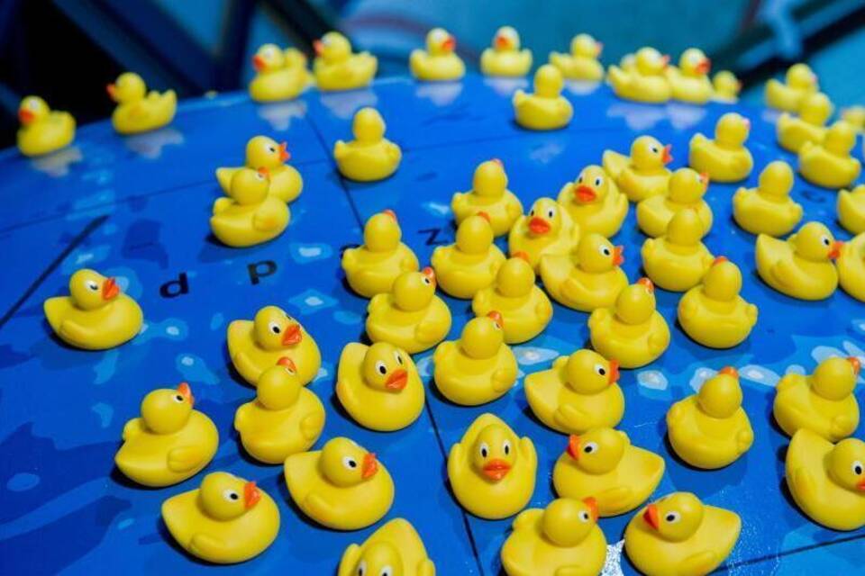 Enten Enten