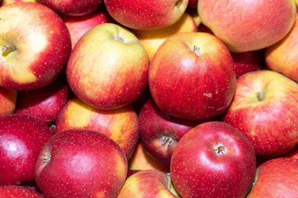 Apfel Apfel