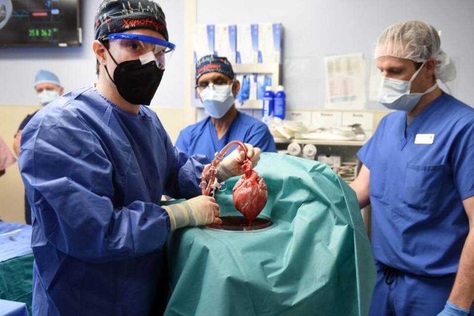 Erstmals Schweineherz-Transplantation für einen Menschen Erstmals Schweineherz-Transplantation für einen Menschen