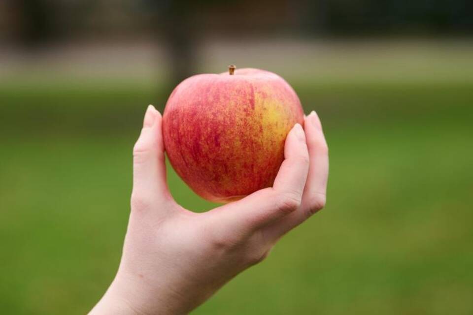 Apfel