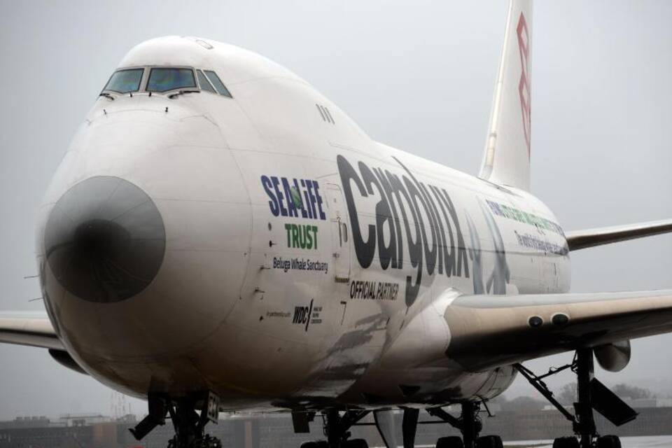 Frachtflugzeug Frachtflugzeug