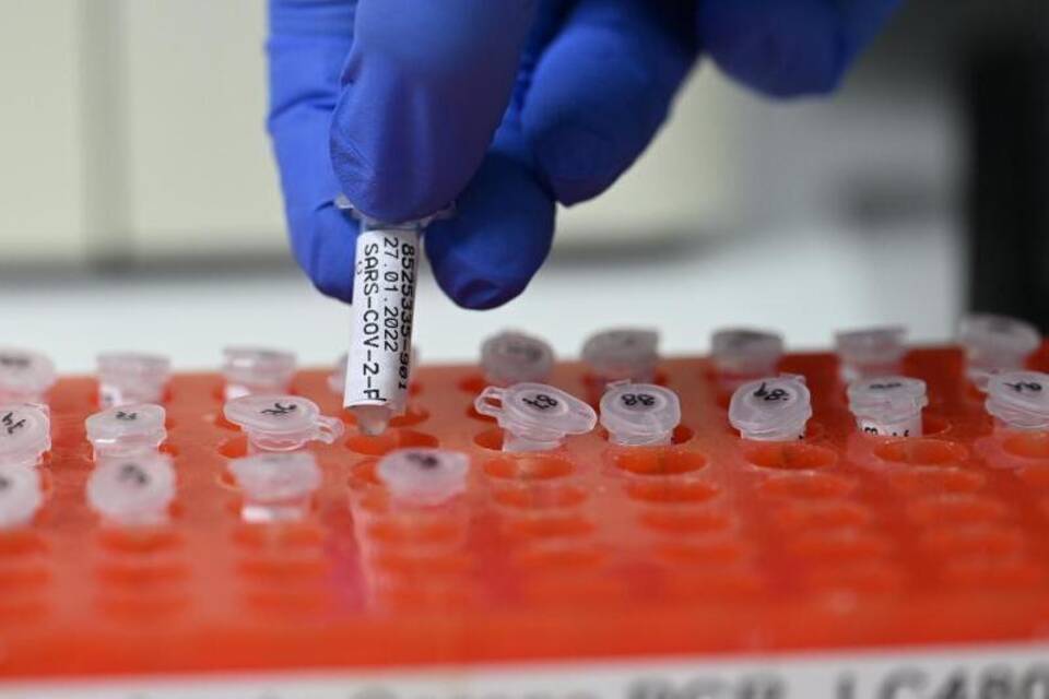 PCR-Labor PCR-Labor
