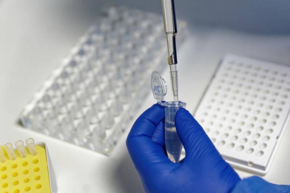 Coronavirus - PCR-Test