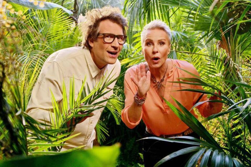 RTL-Dschungelcamp