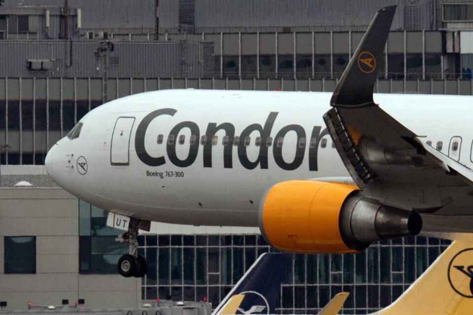 Condor