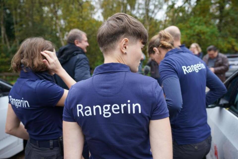Rangerin Rangerin