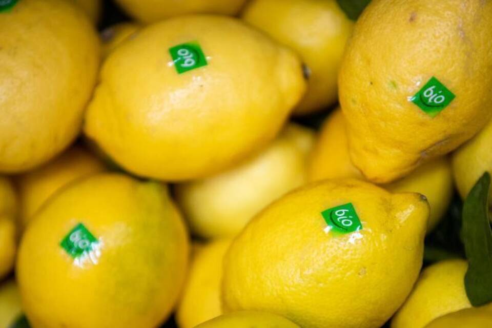 Biofachhandel wächst etwas langsamer Biofachhandel wächst etwas langsamer