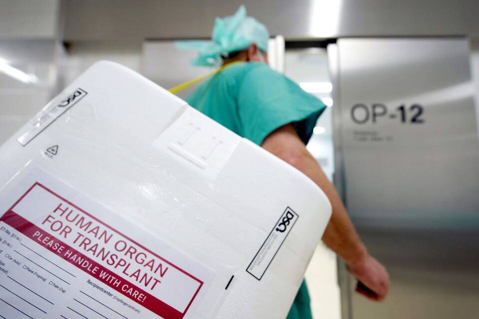Organspende Organspende