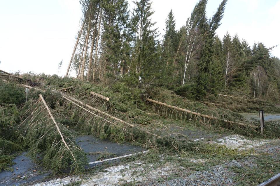 Sturmschäden im Harz Sturmschäden im Harz