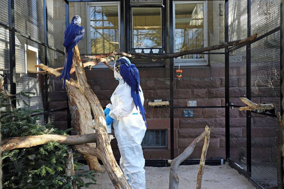 Vogelgrippe im Zoo Karlsruhe Vogelgrippe im Zoo Karlsruhe