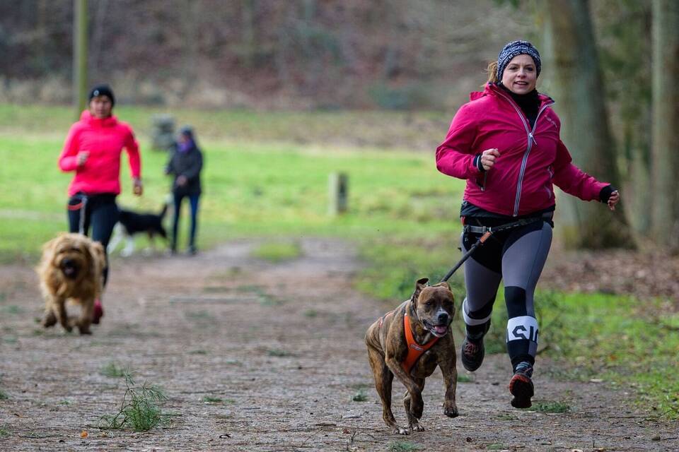 KINA - Mit Hund ins Ziel laufen KINA - Mit Hund ins Ziel laufen
