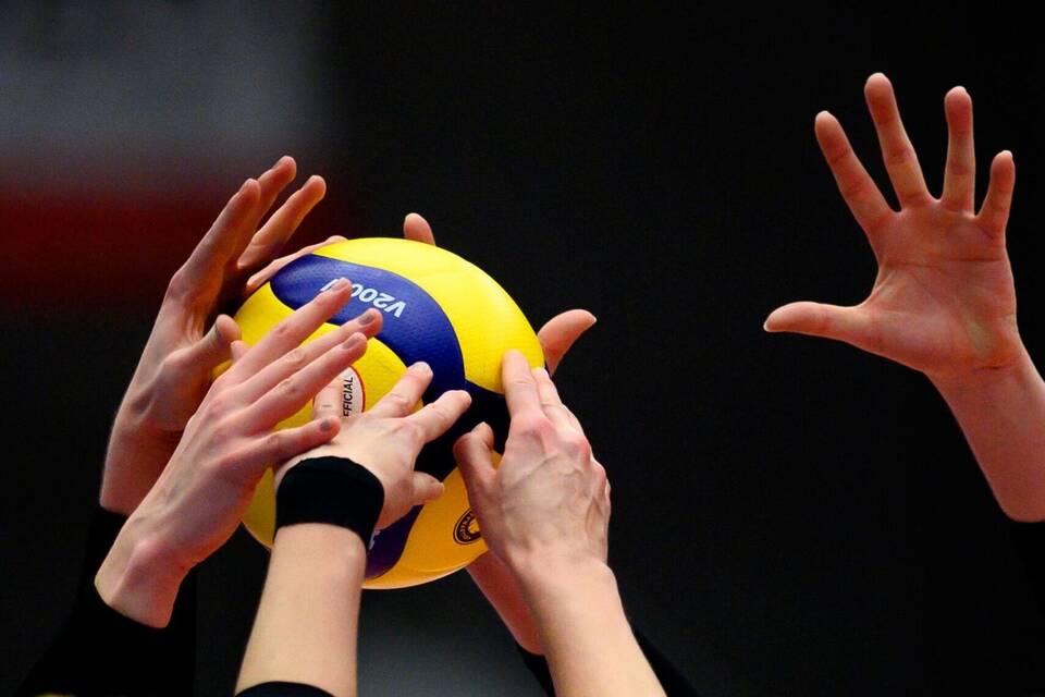 Frauen-Volleyball Frauen-Volleyball