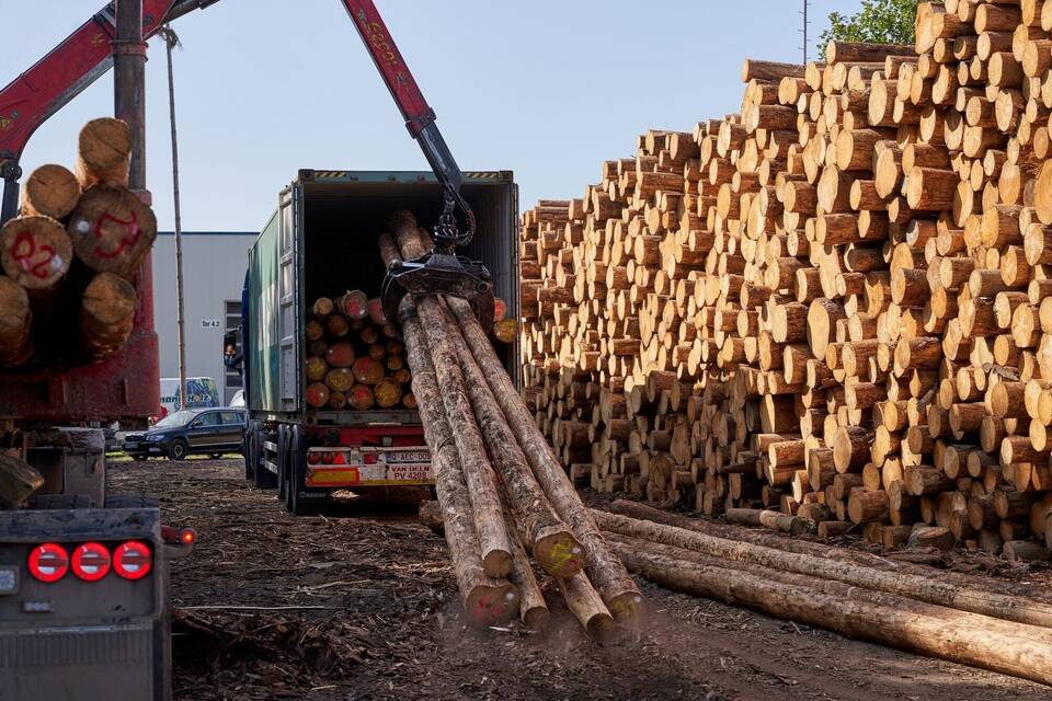 Fichtenholz Fichtenholz