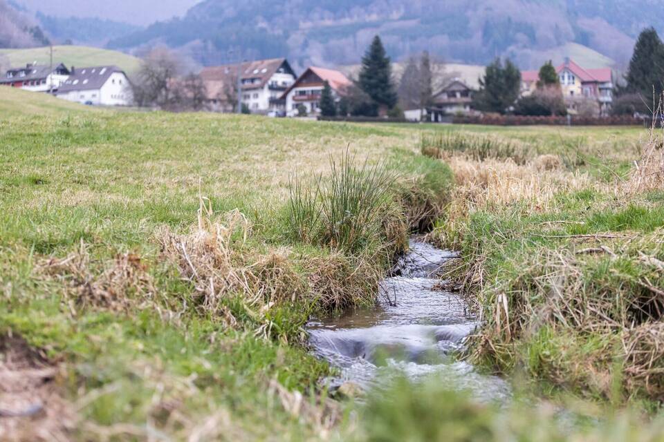Beginn Prozess gegen Landwirt wegen vorsätzlicher Gewässe Beginn Prozess gegen Landwirt wegen vorsätzlicher Gewässe