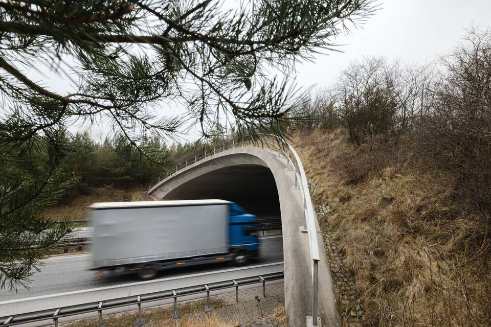 Lkw Lkw