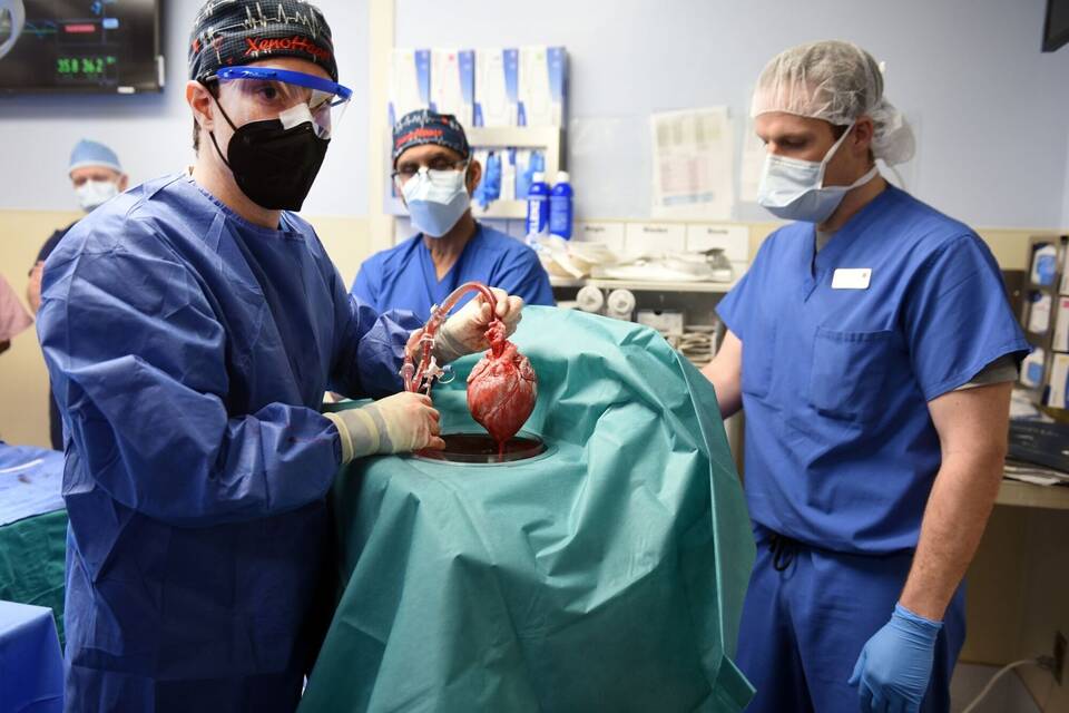 Patient mit transplantiertem Schweineherz Patient mit transplantiertem Schweineherz