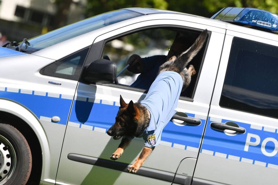 Polizeihunde in Hessen