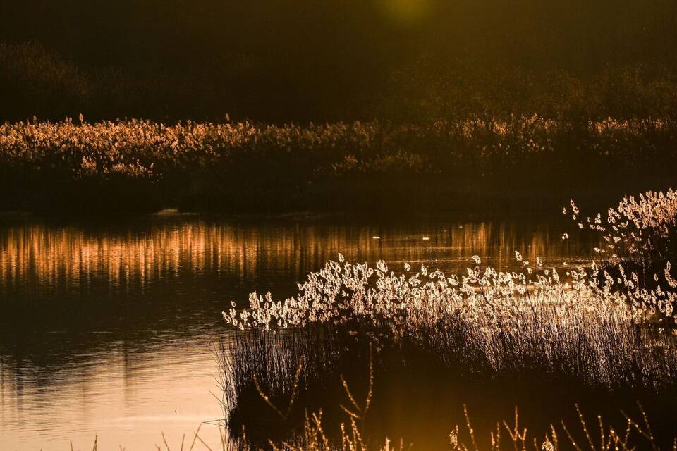 Sonnenaufgang hinter Kreuzweiher Sonnenaufgang hinter Kreuzweiher