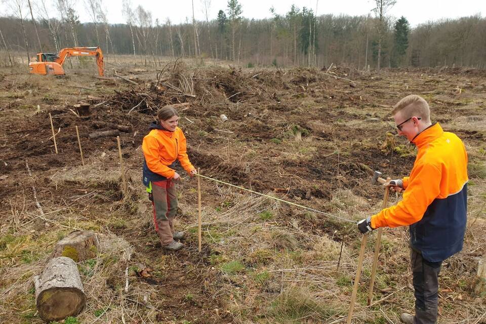 Aufforstung in Hessen