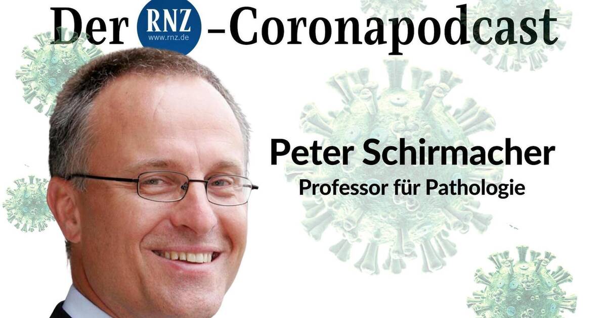 www.rnz.de