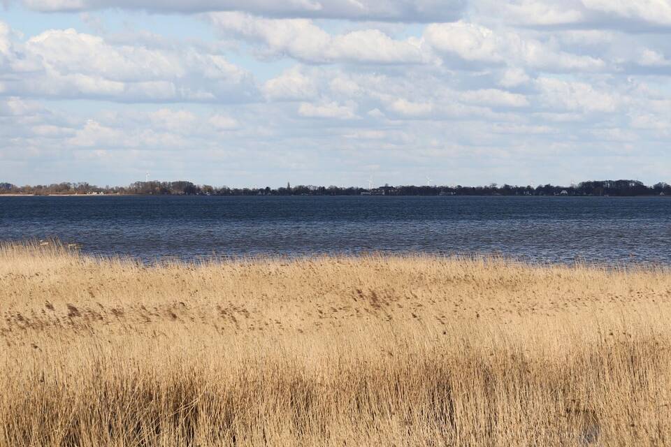 Der Dümmer See Der Dümmer See