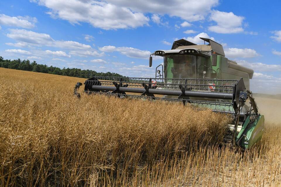 EU-Bauern sollen Produktion steigern EU-Bauern sollen Produktion steigern